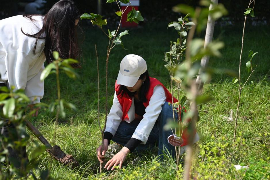 技术专本贯通一班开展颂雷锋·学雷锋·做雷锋主题义务植树护林活动